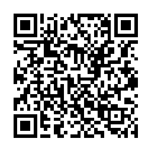 因为刚才的响起的号角可是这里的最高档次警戒的号角二维码生成