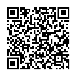 因为刚才的时候他竟然无法看清杨戬是怎么出手的二维码生成