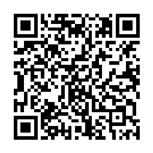 因为剧本最重要的几场戏全部都将会在棚内进行绿屏拍摄二维码生成