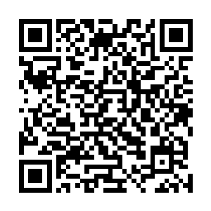 因为千灵貌似就是被流墨墨拿去当药田的那张美人皮地基二维码生成