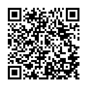 因为只有在绝对的混沌中……才能找到我们所追寻的二维码生成