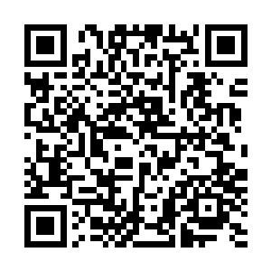 因为可以确定的是那天门宗的小世界真是由最初的道域衍化二维码生成