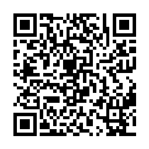 因为叶秋的攻击实在是太猛了猛到她不断的抖动身躯二维码生成