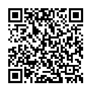 因为在从始自终夏末凉都没有参与此计划的打算二维码生成