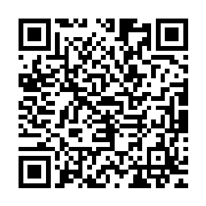 因为在秦宇的心中一直是认为人族是在和绿雾异族之人做斗争二维码生成
