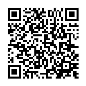 因为在符元界能够创造符技的人基本上是符皇境界的符师二维码生成