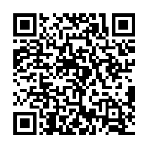 因为在符咒世界之中众人到达符神境界后期是不能飞升的二维码生成