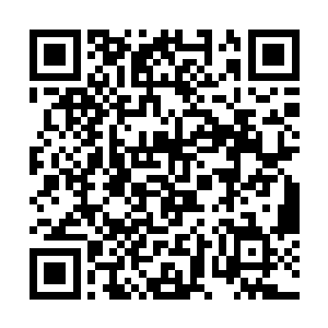 因为大陆现在有资质引进分账片的两家公司都归他管二维码生成