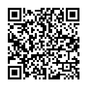 因为她个人服装展上展出的衣服就是言左左设计图的那些衣服二维码生成