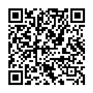 因为她从何飞燕的结印里面感受到一股熟悉的力量二维码生成