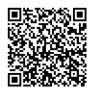 因为它的注意力已经到了自己的那里大小和坏蛋爹爹那里的大小去了二维码生成