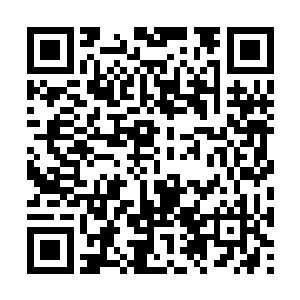 因为实验操作人员的训练是需要仪器设备和耗材的二维码生成