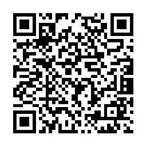 因为家里面的水缸林烽经常时不时就放点神水进去二维码生成