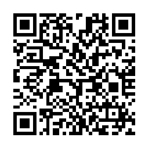 因为小地图功能可以明确无误的将他们的身形显露出来二维码生成