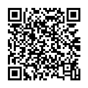 因为就算不看他们也知道在这几条路子上他们的损失有多大二维码生成