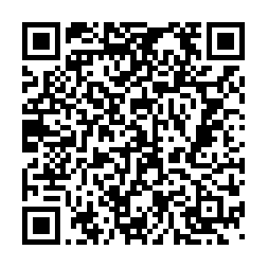 因为很多先天在活了三四百年之后会慢慢的不再和普通人有太多的接触二维码生成