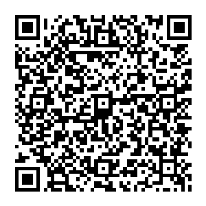 因为得到了天气预报贝海临时决定提前出港这些人在两个大副的带领之下干了个通宵直到早上九点钟才回去二维码生成