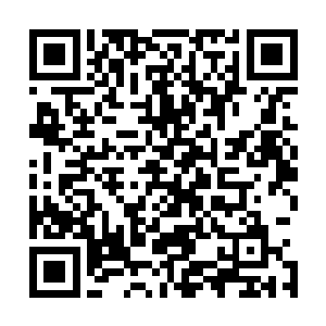 因为惟有他们能够在我们和管理委员会的对立和矛盾中获利二维码生成