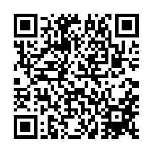 因为想办法把我安排跟你一个寝室我妈才勉强同意我住校二维码生成