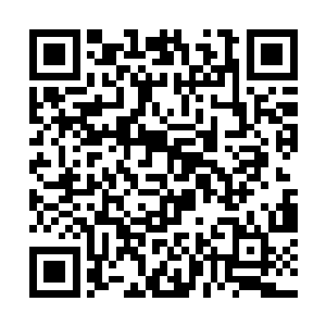 因为我们的人每年都会在各个大学里寻找有用的人才二维码生成