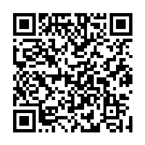 因为我必须要告诉你蓝丝巾计划的第一站行程已经确定了来二维码生成