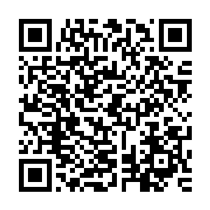 因为我的精神世界并非一片贫瘠……后来我看到网上所推崇的二维码生成