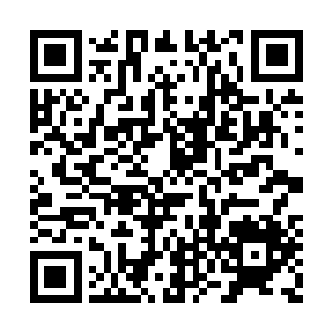 因为战斗对罗林升起的一丝敌意顿时褪了个干净二维码生成