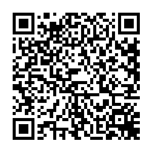 因为担心秦洛的态度就杀掉了自己的亲兄弟――我开始对你的智慧产生怀疑二维码生成