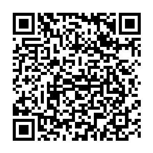 因为据说灭杀了龙门剑派门主白破天的夏国主还在蒙阳国的皇宫里呢二维码生成