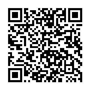 因为本座很清楚你从来没有学过任何炼制血魂的秘法二维码生成