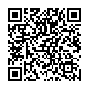 因为杨晨虽然在之前那些针对传统修炼体系修士的观点之中二维码生成