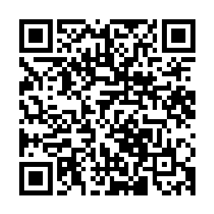因为根本没有什么实质的证据来确定东方世家在打探他们的底细二维码生成