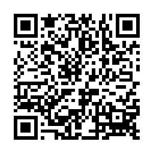 因为殿主给我的任务是保证你不能被人刺激发脾气二维码生成
