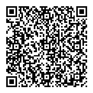 因为每一个粒子方程的结构大体都可划分为储能回路功能回路聚能回路核心回路冗余区域一共四个回路一个冗余区域五个部分二维码生成