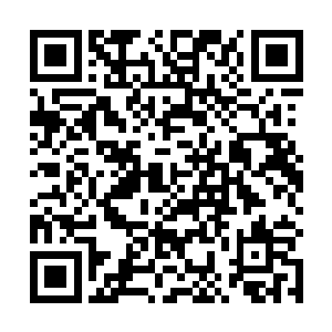 因为没谁傻到在这个时候再来挑拨两个校长之间的暗斗二维码生成