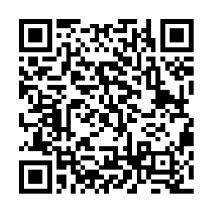因为流墨墨对于被人叫爸爸这事儿是真心震惊和极为抗拒的二维码生成