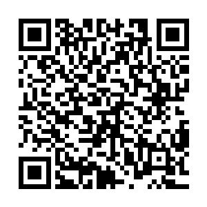 因为玉盒内部的掩灵阵和设置的好几层贴在果子底部的封印符二维码生成
