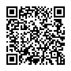 因为现在在书房界面密室里的本尊也在进行第九脉的拓印二维码生成