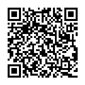 因为现在大家闭着眼猜都知道对方的打野现在应该在什么位置二维码生成