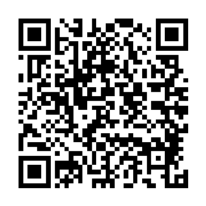 因为绝大部分的杀手刺客和众多低级武士一样都是不识字的二维码生成
