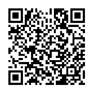 因为自己不小心出了车祸就把责任全推到仲勋和仲谋的身上二维码生成