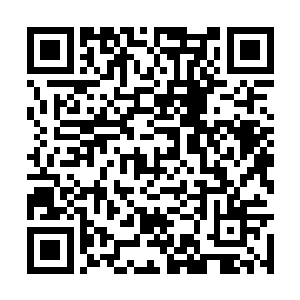 因为至尊境高手在罡气领域内几乎是神一般的存在二维码生成
