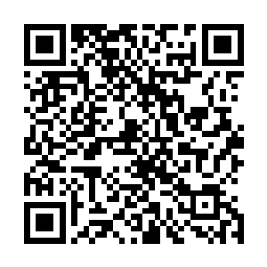 因为若是沒有我们圣弃界数以万计的圣境界族人以生命献祭二维码生成