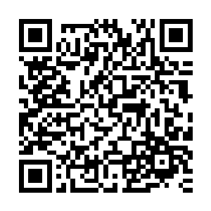 因为荣耀至死正在用一个个最简洁的音符击打出最有力的冲击波二维码生成