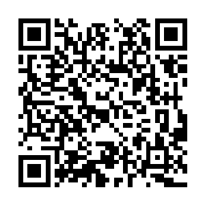 因为裁判已经再次宣布第二轮胜方第二场的名单了二维码生成