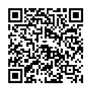 因为记忆球中的记忆和流墨墨看到的都是一眼的混乱~二维码生成