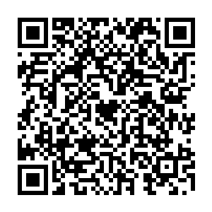 因为这个分明是混沌支点的佛像竟然会因为吞噬神魂之力和精血而吐出内部物品二维码生成
