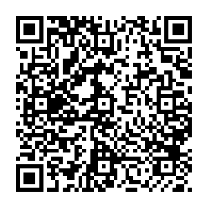 因为这个洞府之所以会破土而出完全是因为许德拉渡劫的时候劫雷破坏地表才将洞府泄二维码生成