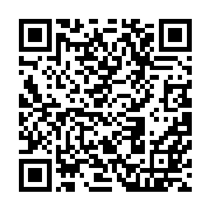 因为这个眼神和他当初躺在地上看到荣光时的眼神是一样的二维码生成