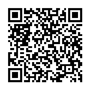 因为这股碰撞的余威就算是他们也不愿意在这么近距离的承受二维码生成